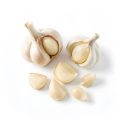 Knoblauch.jpg